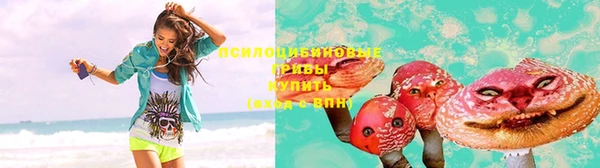 ПСИЛОЦИБИНОВЫЕ ГРИБЫ Абдулино